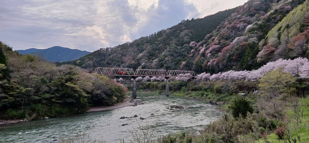 四万十川の流れのように